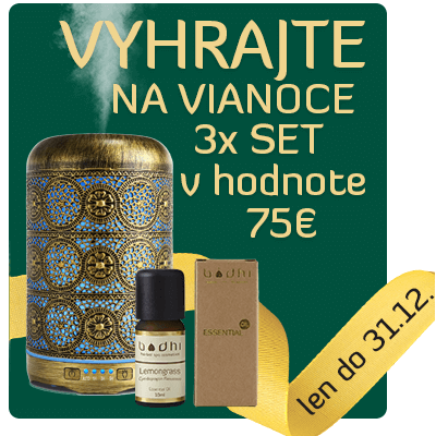 VYHRAJTE NA VIANOCE!